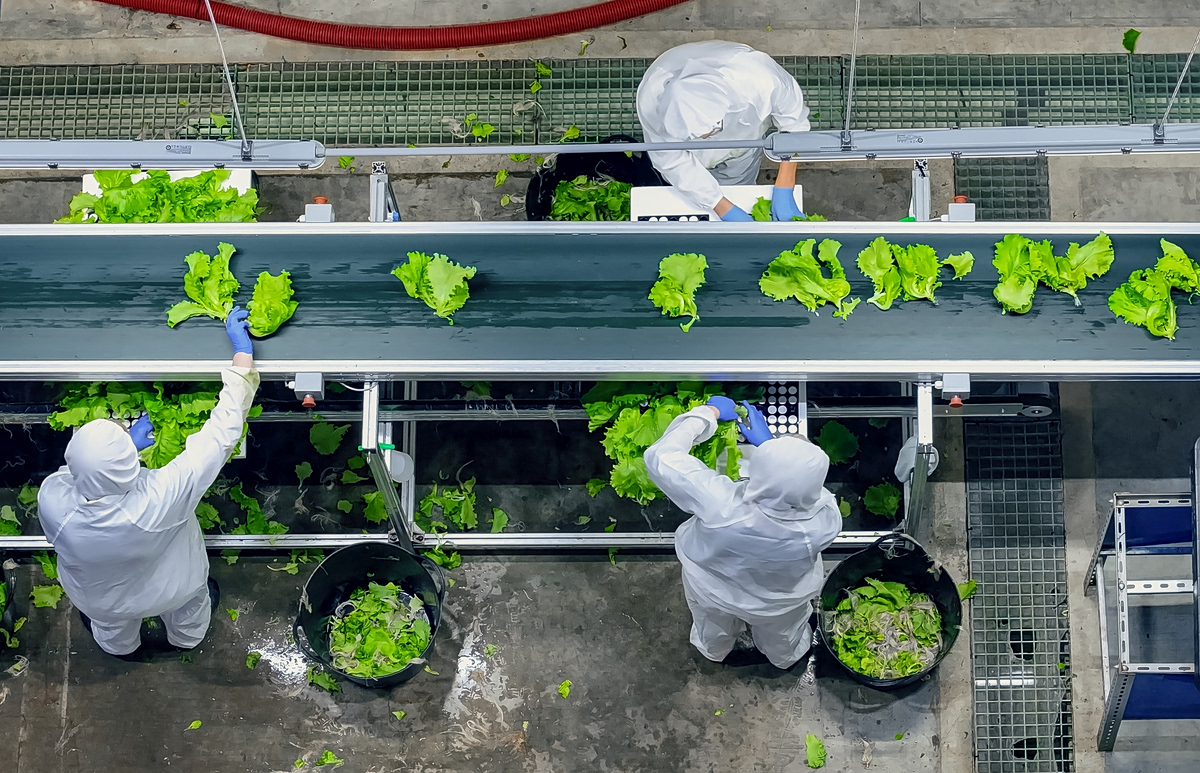 Η αυτοματοποίηση δημιουργεί ρίσκο στην εφοδιαστική αλυσίδα τροφίμων