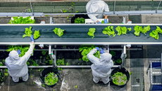 Η αυτοματοποίηση δημιουργεί ρίσκο στην εφοδιαστική αλυσίδα τροφίμων