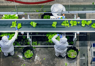 Η αυτοματοποίηση δημιουργεί ρίσκο στην εφοδιαστική αλυσίδα τροφίμων