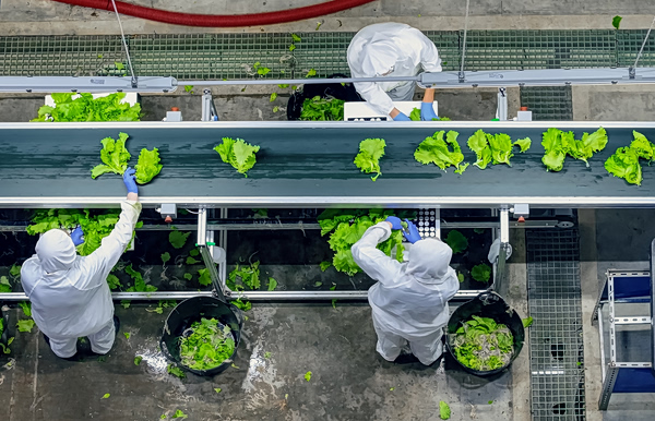 Η αυτοματοποίηση δημιουργεί ρίσκο στην εφοδιαστική αλυσίδα τροφίμων