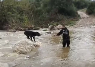 Κακοκαιρία: Η στιγμή που διασώζονται δύο σκύλοι που είχαν εγκλωβιστεί σε ποταμό