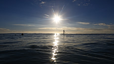 Καμπανάκι από Copernicus: Οι ωκεανοί κοντά σε επίπεδα ρεκόρ υψηλής θερμοκρασίας