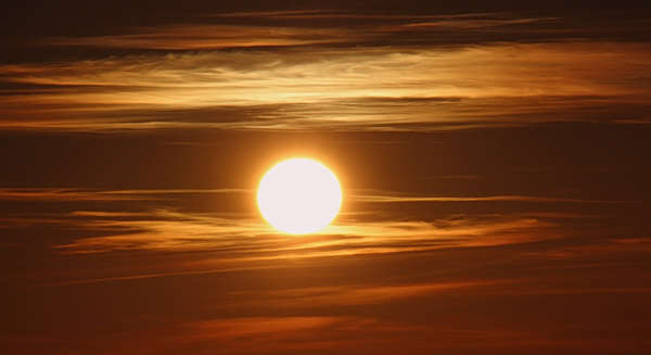 Πώς οι  επιπτώσεις της κλιματικής αλλαγής μπορεί να περνούν από γενιά σε γενιά