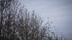 Τοπικές βροχές και πτώση της θερμοκρασίας τη Μεγάλη Παρασκευή – Πώς θα είναι ο καιρός μέχρι το Πάσχα