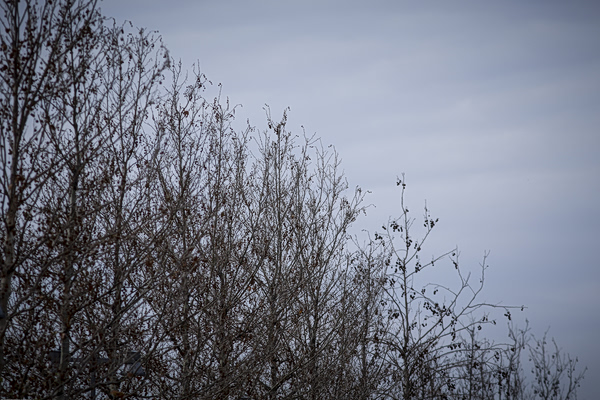 Τοπικές βροχές και πτώση της θερμοκρασίας τη Μεγάλη Παρασκευή – Πώς θα είναι ο καιρός μέχρι το Πάσχα