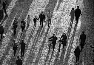 Unemployment Edges Down to 8.5% in Feb. 2026