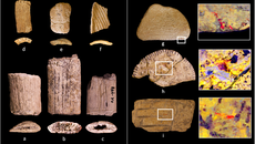 Τελικά, τα αρχαία ζάρια 12.000 ετών ήταν τζόγος ή απλώς ανάγκη για παιχνίδι;