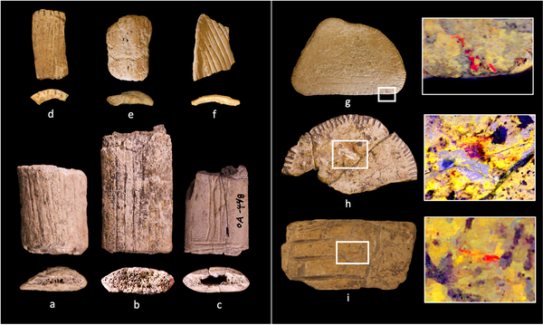 Τελικά, τα αρχαία ζάρια 12.000 ετών ήταν τζόγος ή απλώς ανάγκη για παιχνίδι;