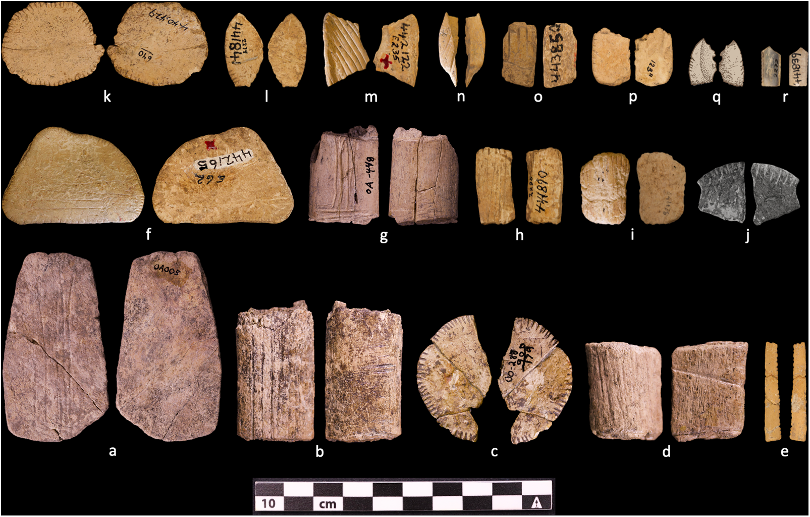 Ζάρια προϊστορικών ιθαγενών της Αμερικής — διαγνωστικά και πιθανά — από την Ύστερη Πλειστόκαινο (13.000–11.700 χρόνια πριν από σήμερα), την Πρώιμη Ολόκαινο (11.700–8.000), τη Μέση Ολόκαινο (8.000–2.000) και την Ύστερη Ολόκαινο (2.000–450):(a, d) Σίγκναλ Μπιούτ, Νεμπράσκα (Μέση Ολόκαινος), NMNH-A437076, NMNH-550791· (b) Αγκέιτ Μπέισιν, Ουαϊόμινγκ (Πρώιμη Ολόκαινος), UW-11327· (c, f) Αγκέιτ Μπέισιν, Ουαϊόμινγκ (Ύστερη Πλειστόκαινος), UW-OA111, UW-OA448· (e, g) Λίντενμαϊερ, Κολοράντο (Ύστερη Πλειστόκαινος), NMNH-A442165, NMNH-A440429· (h) Ίρβαϊν, Ουαϊόμινγκ (Ύστερη Ολόκαινος). (Οι εικόνες 1a, d, e και g παραχωρήθηκαν από το Τμήμα Ανθρωπολογίας του Smithsonian Institution και το American Museum of Natural History. Οι εικόνες 1b, c, f και h παραχωρήθηκαν από το Τμήμα Ανθρωπολογίας του Πανεπιστημίου του Ουαϊόμινγκ. Φωτογραφίες: ο συγγραφέας.) (Έγχρωμη απεικόνιση στο διαδίκτυο)