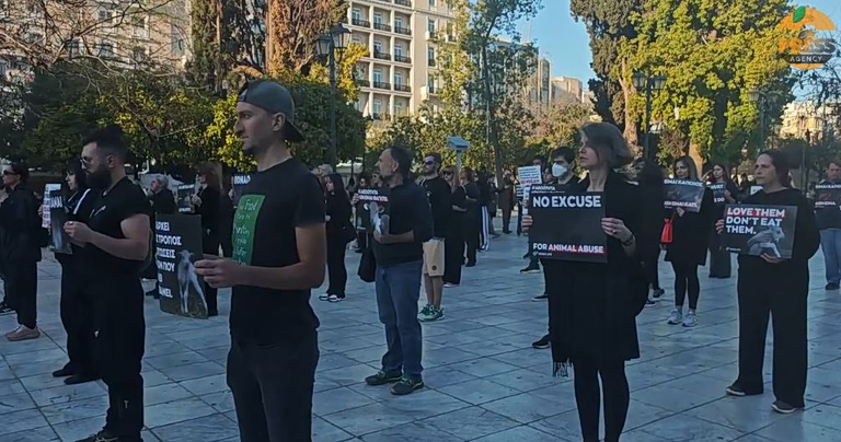 «Μπορούμε να γιορτάσουμε το Πάσχα χωρίς να σκοτώνουμε» – Νέα δράση από vegans στο Σύνταγμα