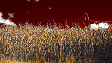 «Κλιματοπληθωρισμός»: Η κλιματική αλλαγή έχει ήδη αρχίσει να επηρεάζει το κόστος διαβίωσης