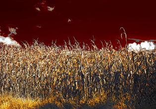 «Κλιματοπληθωρισμός»: Η κλιματική αλλαγή έχει ήδη αρχίσει να επηρεάζει το κόστος διαβίωσης