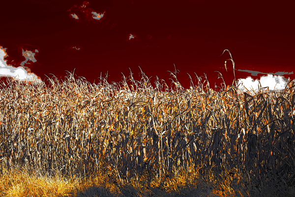 «Κλιματοπληθωρισμός»: Η κλιματική αλλαγή έχει ήδη αρχίσει να επηρεάζει το κόστος διαβίωσης