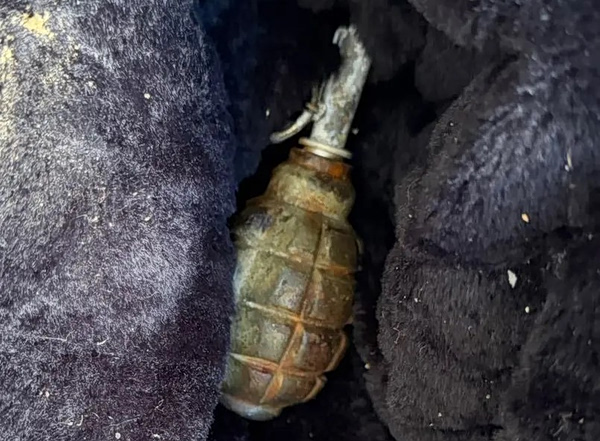 Έκρυβαν χειροβομβίδα σε μπαλκόνι διαμερίσματος στην Κυψέλη