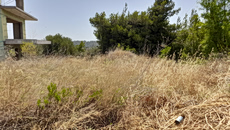 Ακαθάριστα οικόπεδα: Άνοιξε η πλατφόρμα – Πρόστιμα αν δεν δηλώσετε