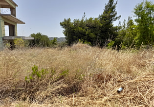 Ακαθάριστα οικόπεδα: Άνοιξε η πλατφόρμα – Πρόστιμα αν δεν δηλώσετε