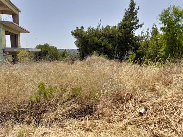 Ακαθάριστα οικόπεδα: Άνοιξε η πλατφόρμα – Πρόστιμα αν δεν δηλώσετε