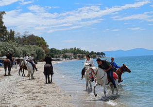 Παρουσία πλήθους κόσμου το έθιμο καθαγιασμού των αλόγων στην Δ. Κ. Καλών Νερών του Δήμου Νοτίου Πηλίου