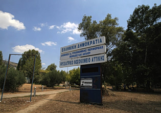 Τραγωδία στο Δαφνί: «Η υποστελέχωση οδηγεί σε εξουθένωση, τμήματα απορρυθμίζονται, 2 νοσηλευτές για 31 ασθενείς»
