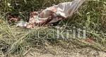 Ηράκλειο: Το σημείο που βρέθηκε αιμόφυρτη η 28χρονη μητέρα – Τι λέει αυτόπτης μάρτυρας