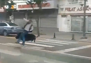 Τουρκία: Αγριογούρουνο έτρεχε σε πολυσύχναστο δρόμο – Τραυμάτισε τρία άτομα