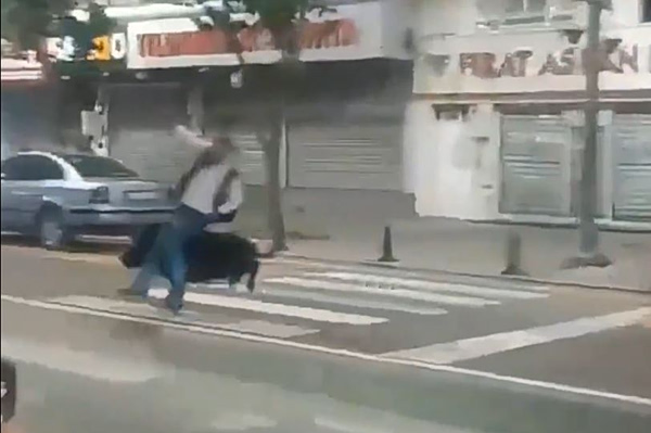 Τουρκία: Αγριογούρουνο έτρεχε σε πολυσύχναστο δρόμο – Τραυμάτισε τρία άτομα