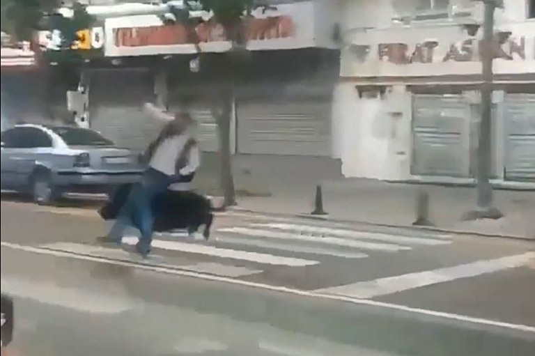 Τουρκία: Αγριογούρουνο έτρεχε σε πολυσύχναστο δρόμο - Τραυμάτισε τρία άτομα