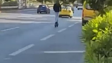 Συνελήφθη 23χρονος που έτρεχε με 72 χλμ. με πατίνι στη Συγγρού – Δείτε βίντεο