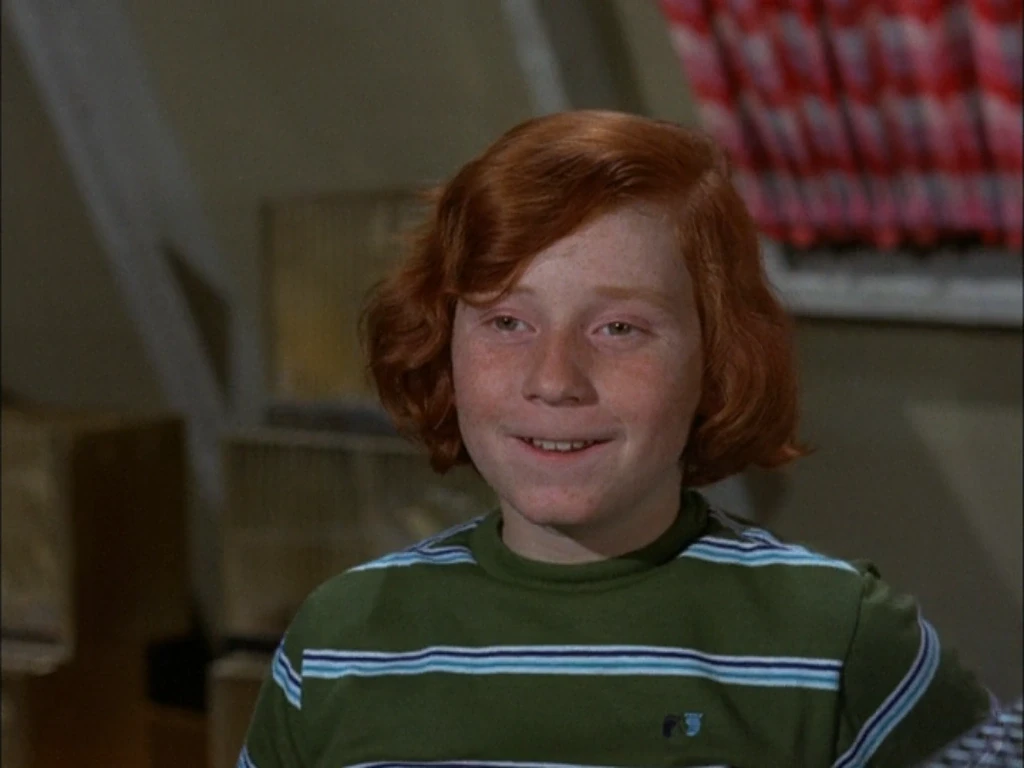 Ο Ντάνι Μποναντούτσε στη σειρά «The Partridge Family» (1970) | IMDb