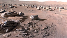 Τα ρομπότ της NASA δεν ήταν πλήρως αποστειρωμένα – Μπορεί μια γήινη μούχλα να μόλυνε τον Άρη;