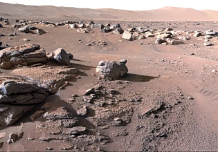 Τα ρομπότ της NASA δεν ήταν πλήρως αποστειρωμένα – Μπορεί μια γήινη μούχλα να μόλυνε τον Άρη;