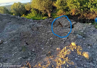 Αφθώδης πυρετός στη Λέσβο: Προανάκριση για τις ανεξέλεγκτες ταφές ζώων – «Κανένας δεν έδινε σημασία πριν από δύο μήνες»