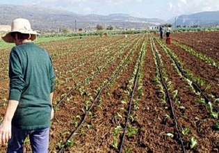 Γεωργία: Η πενταετία που «εξαϋλώθηκε» το αγροτικό εισόδημα