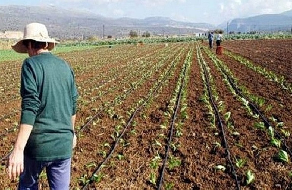 Γεωργία: Η πενταετία που «εξαϋλώθηκε» το αγροτικό εισόδημα
