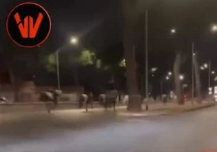 Χάος στη Ρώμη: Άλογα ξέφυγαν από στρατιωτική πρόβα – Τραυματίστηκαν πέντε πολίτες