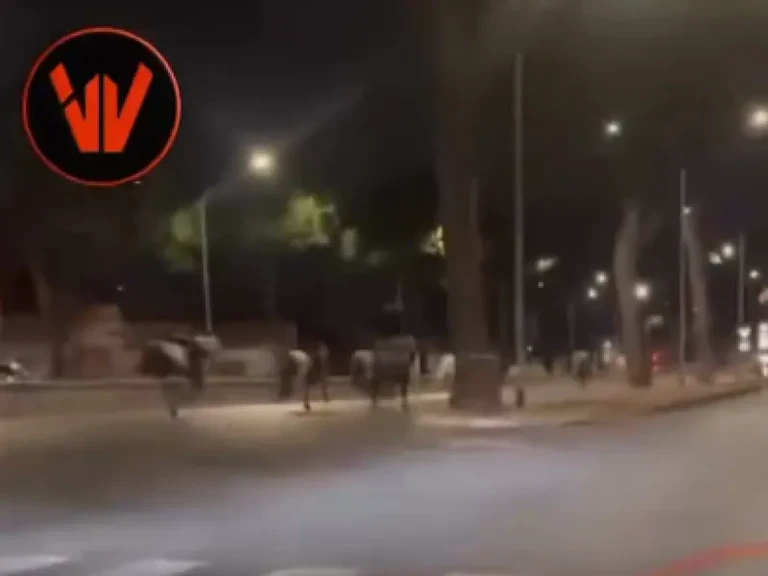 Χάος στη Ρώμη: Άλογα ξέφυγαν από στρατιωτική πρόβα – Τραυματίστηκαν πέντε πολίτες