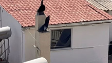 «Κάναμε τα πάντα για αυτήν την οικογένεια – Αφαντες οι κοινωνικές υπηρεσίες – Τι λέει στο in η μητέρα συμμαθητή των παιδιών που ζούσαν στη «τρώγλη»