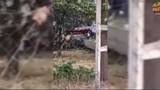 Θεσσαλονίκη: Νέες εικόνες από το σπίτι όπου o 30χρονος σκότωσε με κατσαβίδι τον πατέρα του