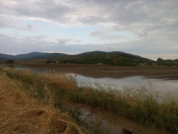 εικόνα που δείχνει πλημμυρισμένες αγροτικές εκτάσεις στον Δομοκό
