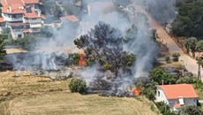 Συνελήφθη 89χρονος για τη φωτιά στο Κρυονέρι Αττικής -Βίντεο από το drone της Πυροσβεστικής