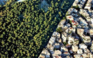 Αξιοποίηση δασικών εκτάσεων υπό προϋποθέσεις