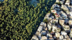 Αξιοποίηση δασικών εκτάσεων υπό προϋποθέσεις