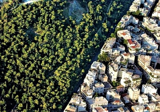 Αξιοποίηση δασικών εκτάσεων υπό προϋποθέσεις