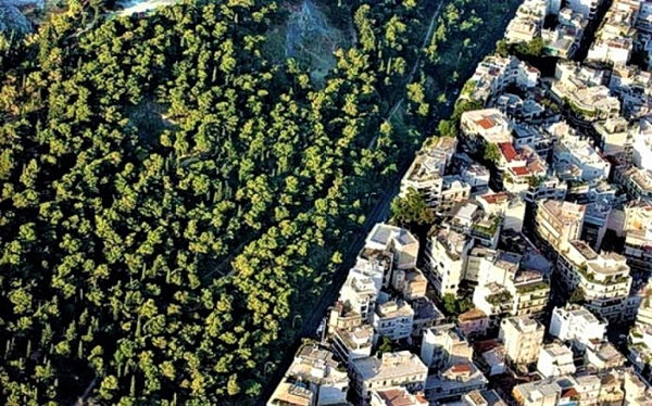 Αξιοποίηση δασικών εκτάσεων υπό προϋποθέσεις