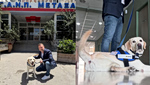 «Έπιασε δουλειά» στο νοσοκομείο «Μεταξά» ο Ντύλαν, ο πρώτος σκύλος θεραπείας