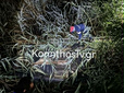 Κορινθία: Νεκρός σε τροχαίο ο 37χρονος διευθυντής του δημοτικού σχολείου Φενεού