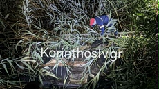 Κορινθία: Νεκρός σε τροχαίο ο 37χρονος διευθυντής του δημοτικού σχολείου Φενεού