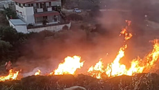 Φωτιά στη Λαυρεωτική – Άμεση επέμβαση της Πυροσβεστικής – Καταγγελίες ότι προκλήθηκε από ρίψη φωτοβολίδας