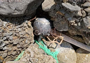 Κρήτη: Εντοπίστηκε θαλάσσια νάρκη σε βραχώδη περιοχή παραλίας στο Λασίθι