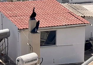 Περιστέρι: Σοκάρουν οι μαρτυρίες για τα 6 παιδιά που ζούσαν σε διαμέρισμα τρώγλη – «Ήταν ανατριχιαστική κατάσταση»